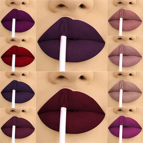 24 Colour Matte Waterproof Lipstick